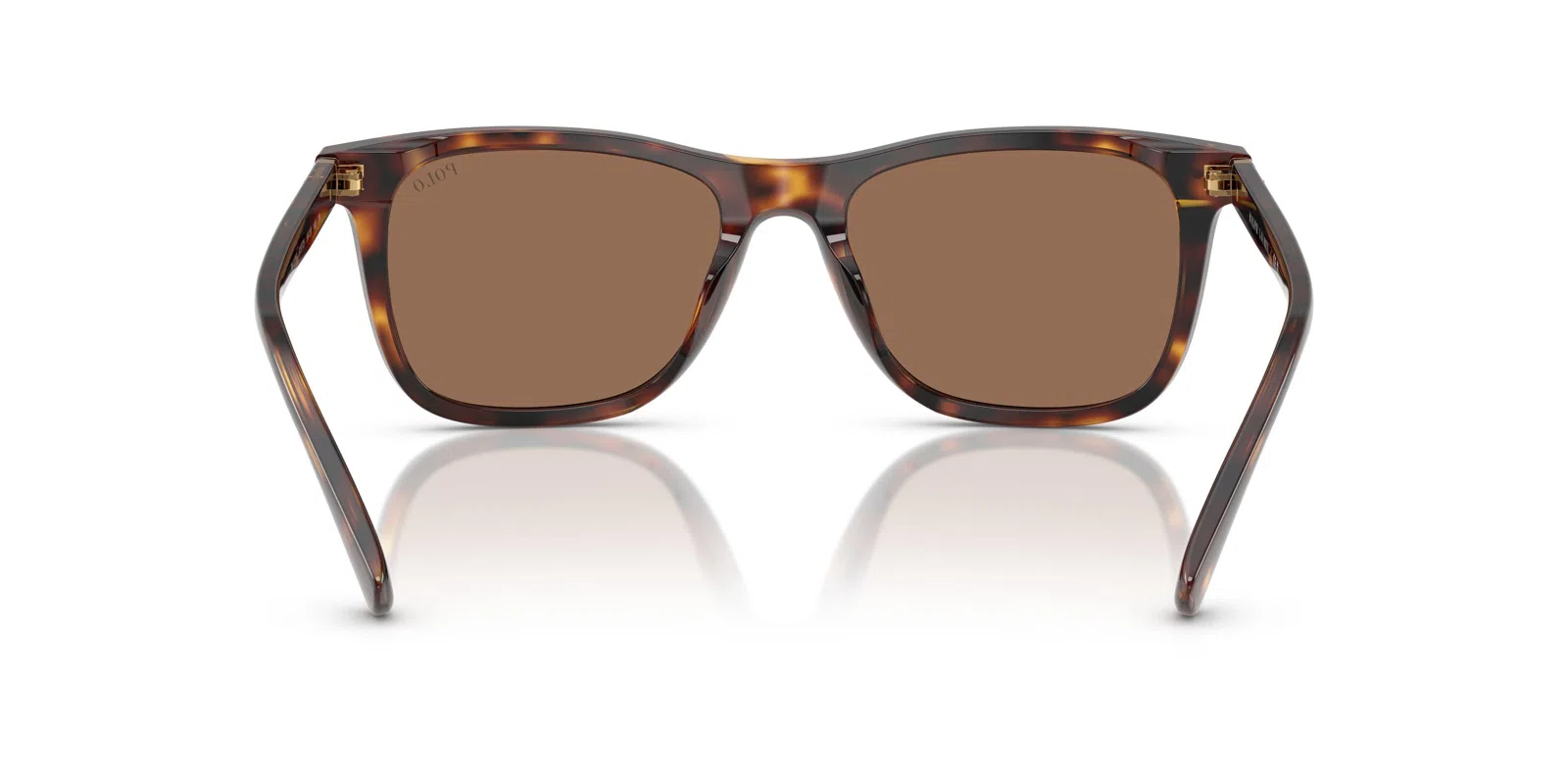 Polo 4220F Sunglasses - view 11